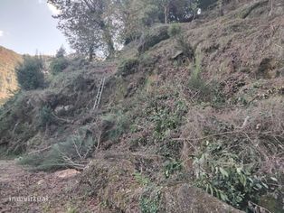 Terreno para Construção - Grande imagem: 3/10