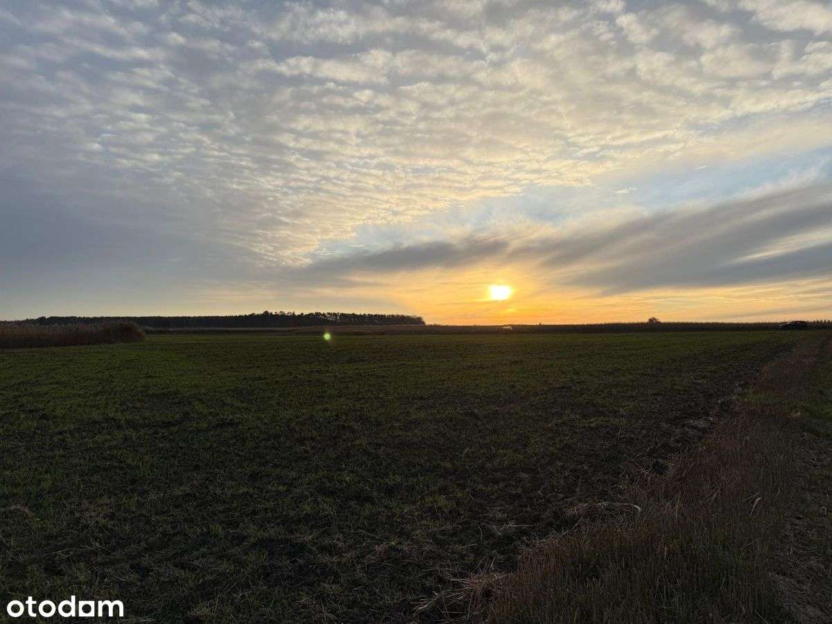 Działki rolne na sprzedaż | bliskość rzeki-6