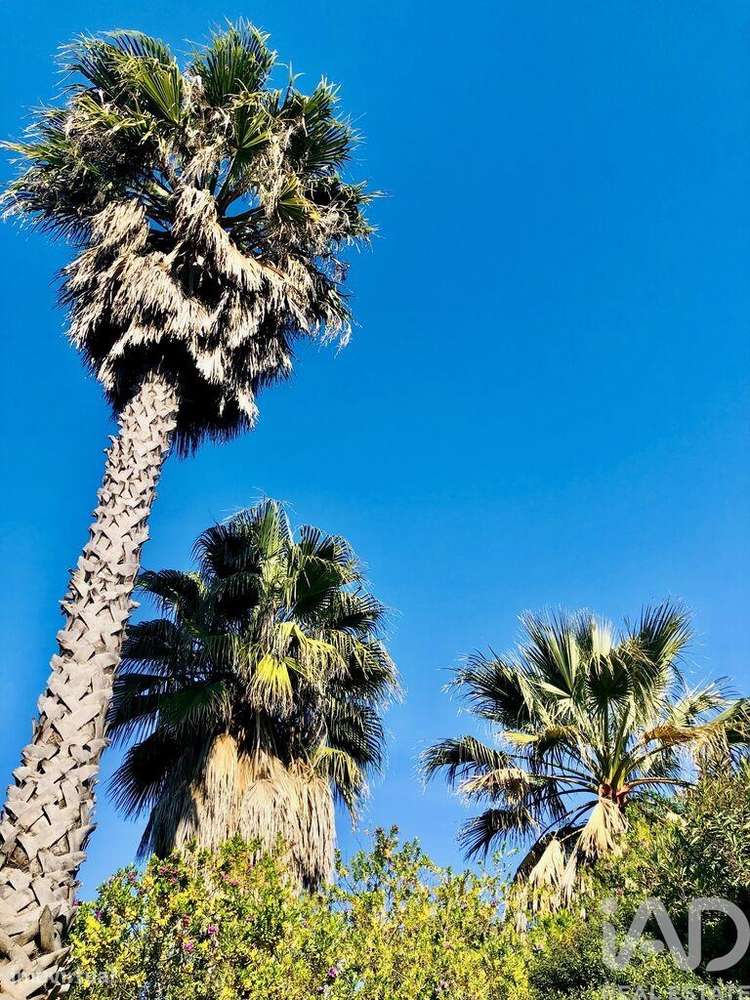 Moradia isolada T6 em Conceição e Estoi - Grande imagem: 2/14