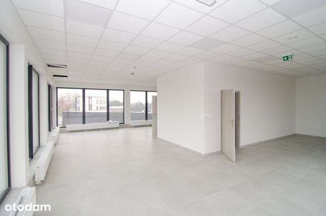 Pow. Magazynowa 250m2 plus biura 100m2! - Pełny obrazek: 4/12