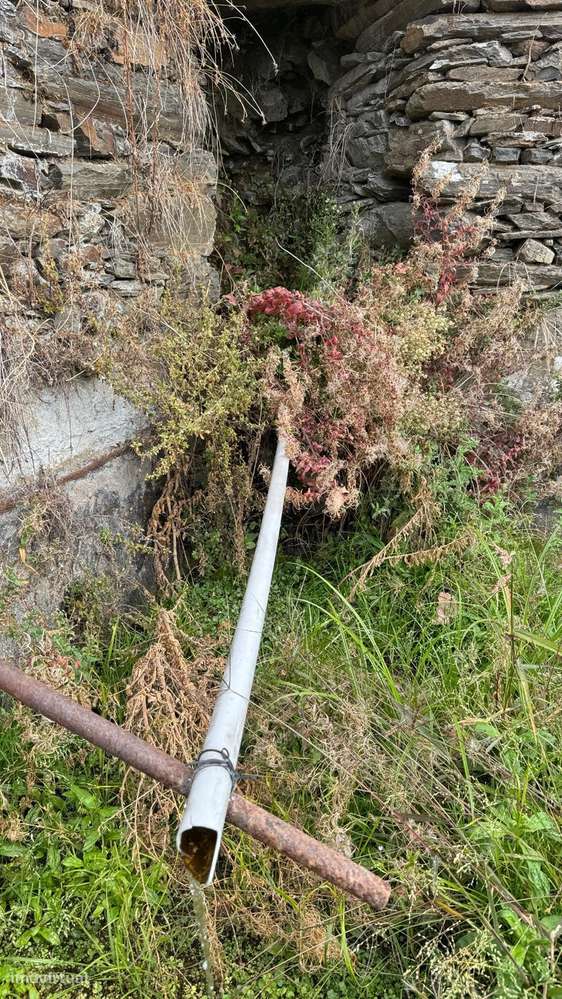 Quinta do Prado em Moura Morta, Régua-20