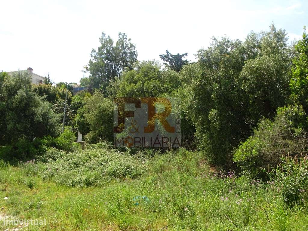 LUXO! Apartamento T2 com Parqueamento Sesimbra-10