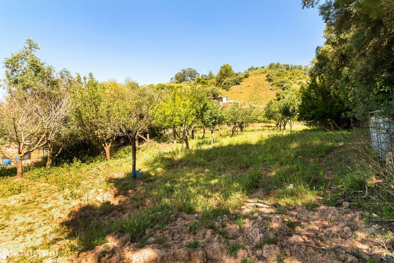 Moradia com terreno e árvores de fruto a 40mn de Lisboa-48