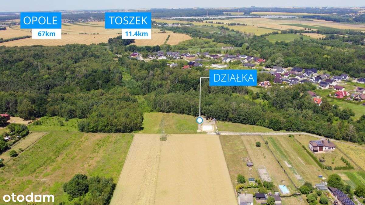 Działka budowlana 1642 m² – Pyskowice - Pełny obrazek: 5/17