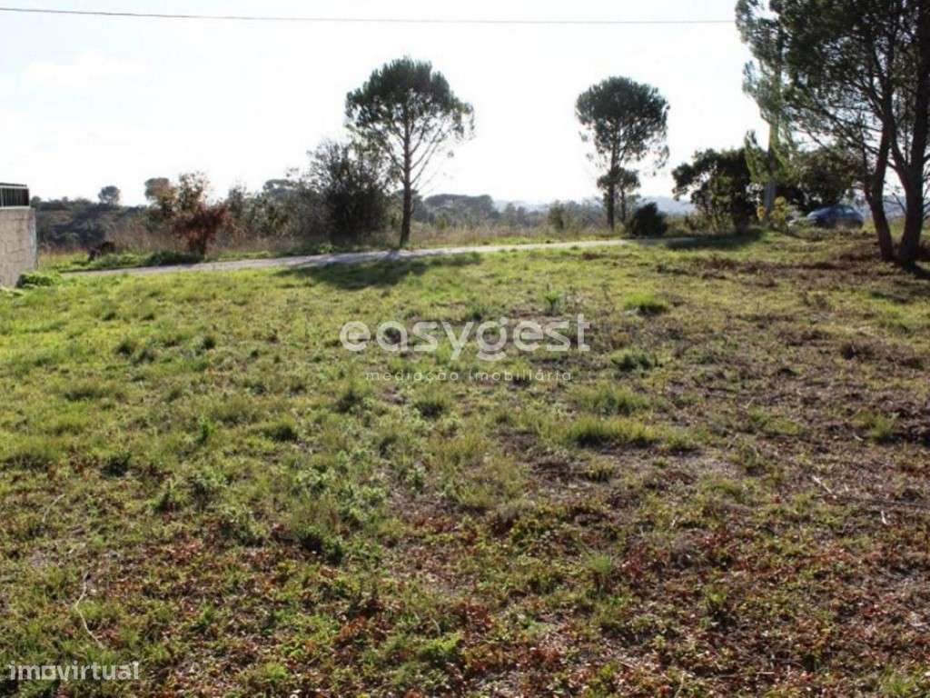 Terreno para Construção com 2450m2 em Carregueiros - Grande imagem: 2/5