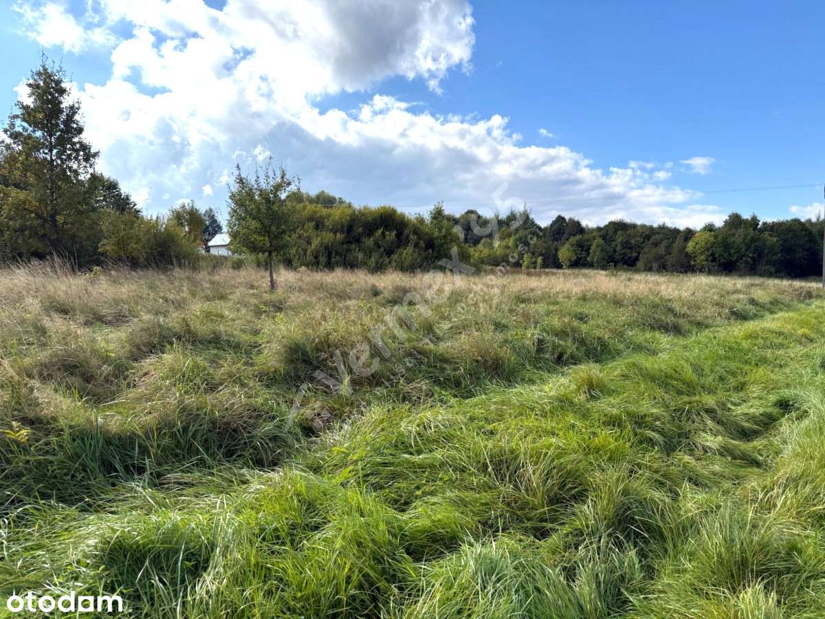 BUDOWLANA 1,46 ha (MPZP) _ z widokiem na Góry _ w otoczeniu lasu - Pełny obrazek: 5/5