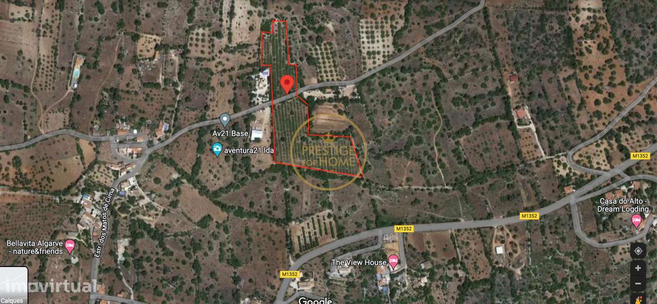Terreno plano com 19720 m2 com plantação de amendoeiras - Grande imagem: 2/7