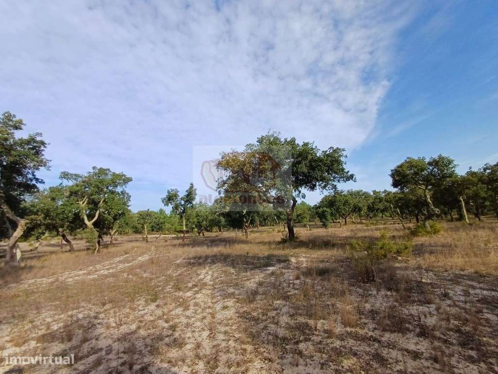 Herdade com montado de sobro de excelência em Grândola!-7