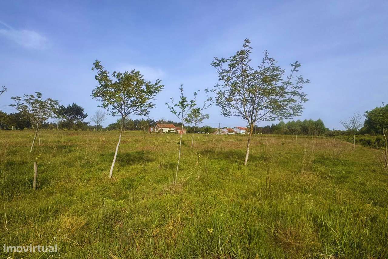 Terreno para construção em Vilarinho do Bairro-13