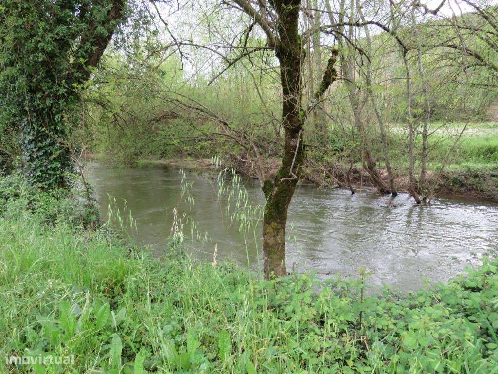 0003 - Grande imagem: 4/7