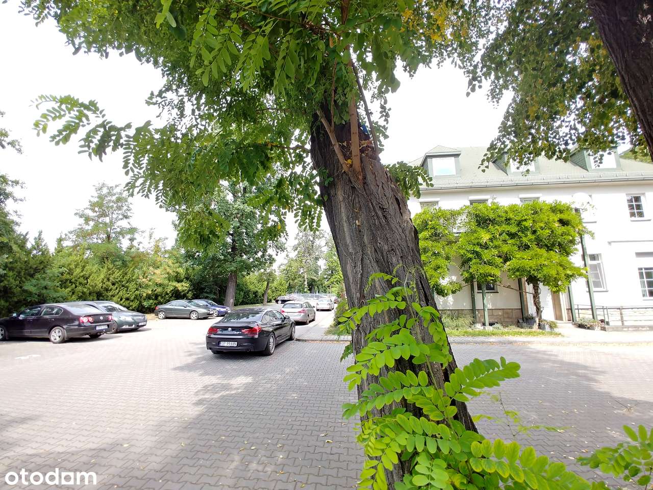 Mieszkanie 2 pokoje , teren zamknięty , atrakcyjna cena-1