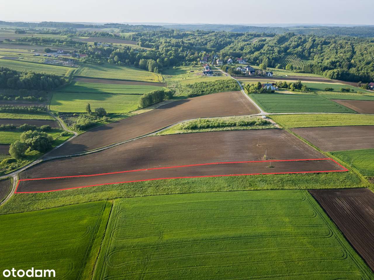 Rybna | Działka rolna | 54 ar | 0% PROWIZJI-2