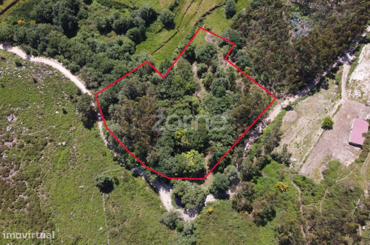 Terreno Rústico em Barbeitos (Álvora) - Grande imagem: 3/23
