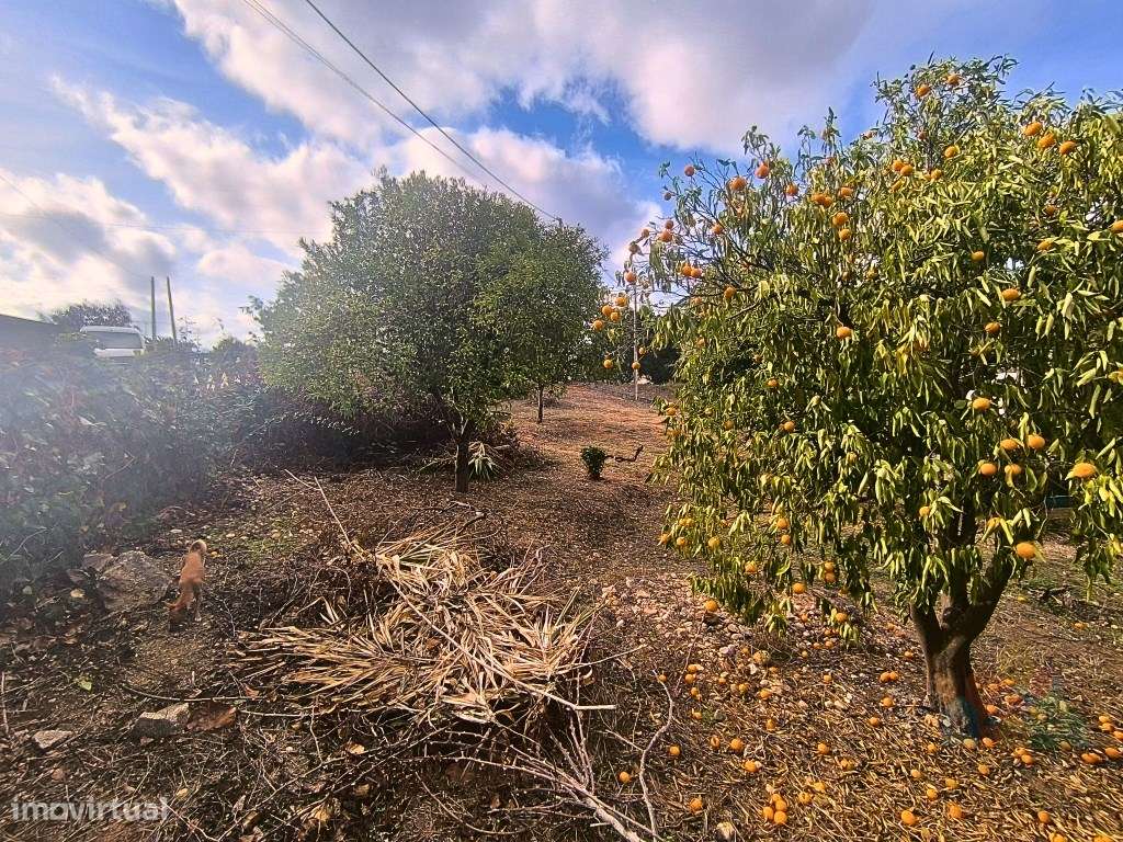 Moradia T4 com construção robusta e terreno perto IC9- Tomar-10