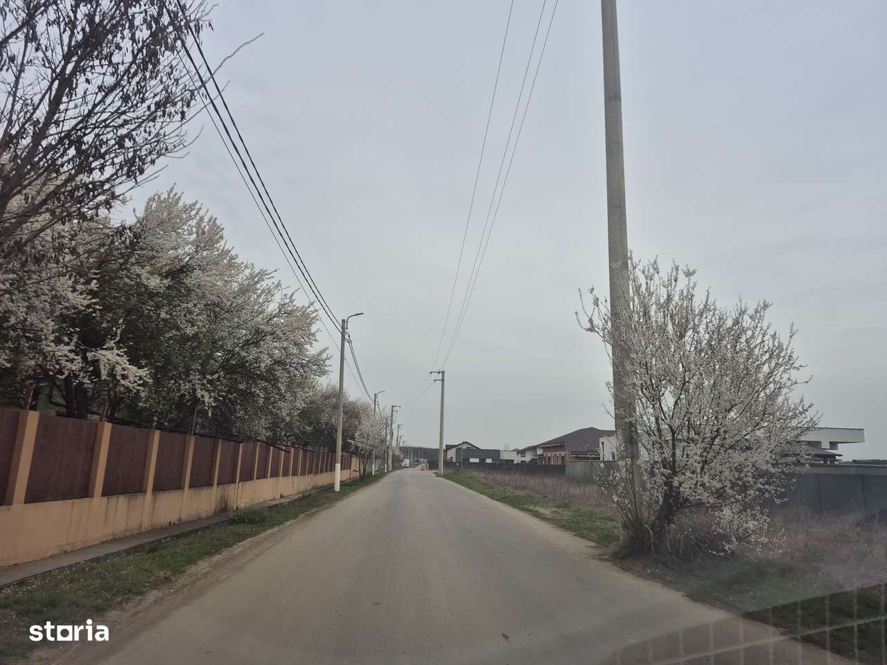 Teren Balotesti,padure Sri,400mp-0