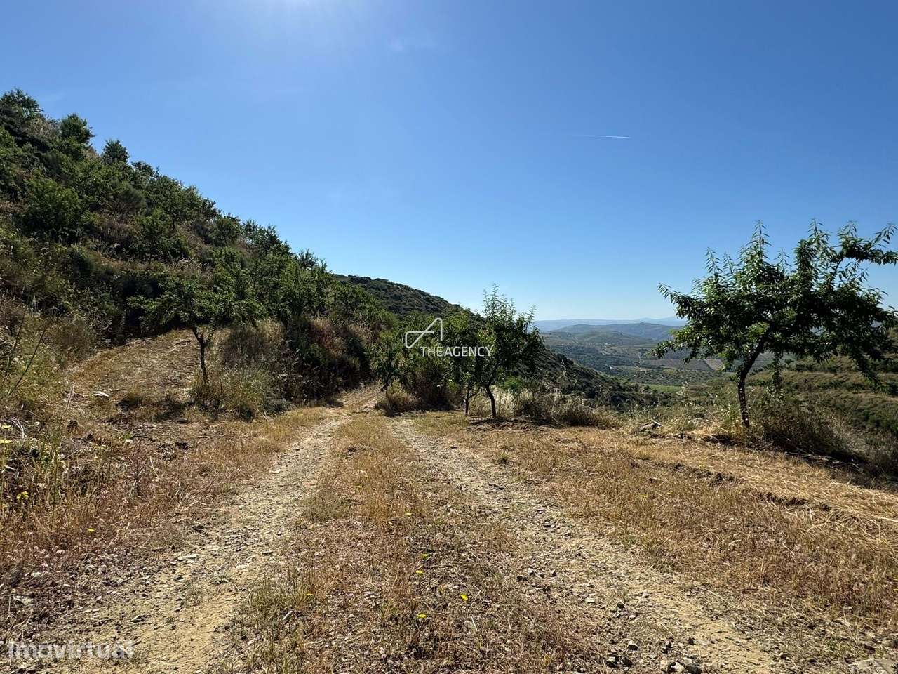Exploração Agrícola Sustentável com 17ha de Amendoal Certificado – Inf - Grande imagem: 4/8
