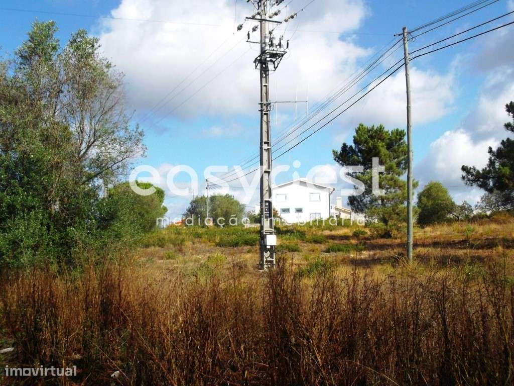 Terreno urbano perto de Tomar com 2950m2 para construção de moradia - Grande imagem: 2/14
