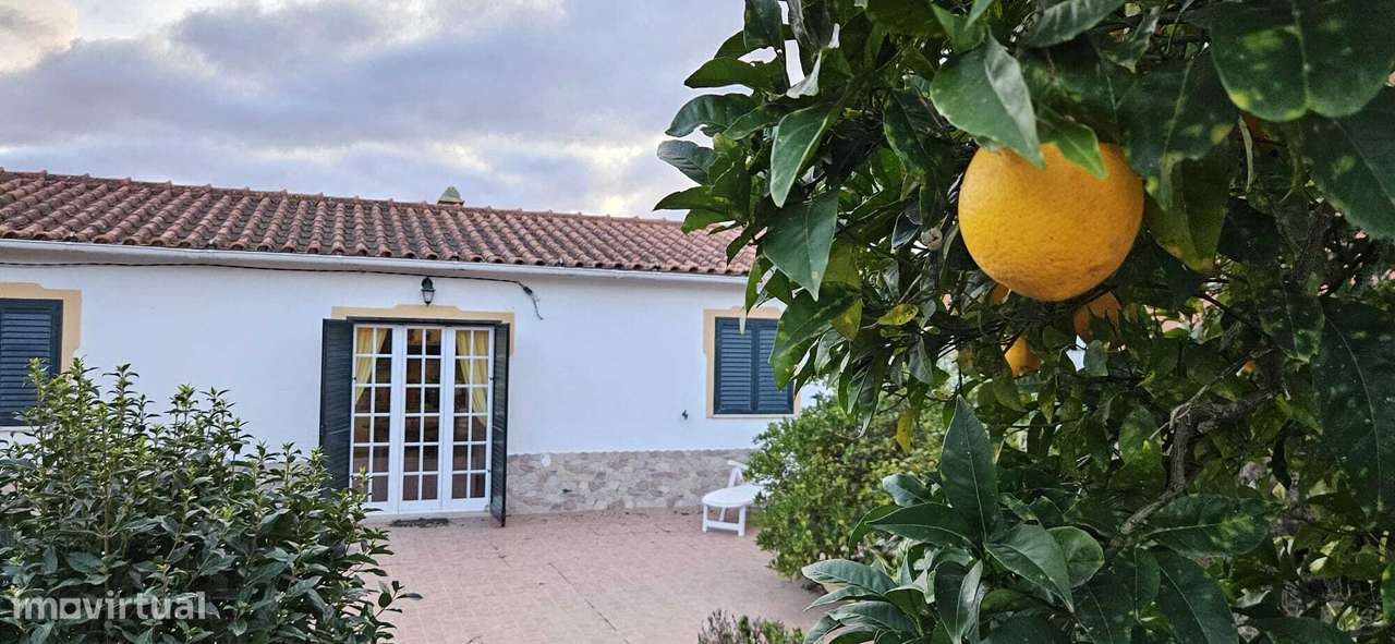 Moradia Térrea / Quintinha em Foros de Salvaterra-47