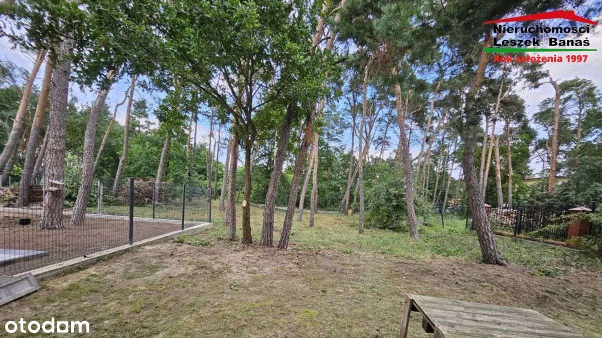 Połowa bliźniaka w Ciechocinku - Pełny obrazek: 4/4