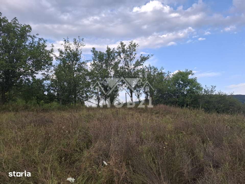 Teren spectaculos cu padure, livada si priveliste panoramica in Soimar - Imagine principală: 5/17