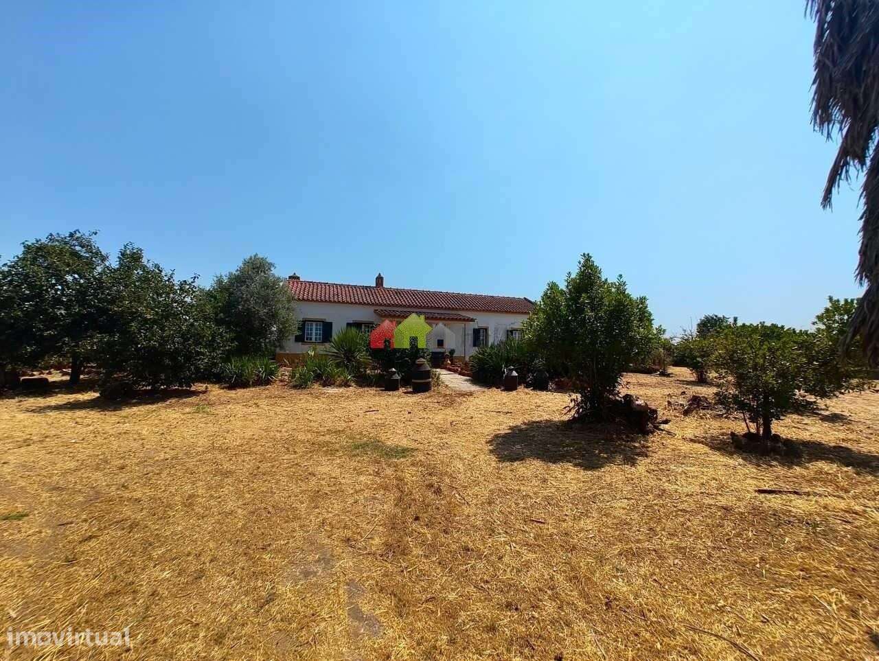 Quinta C/Moradia T2 - Foros de Vale de Figueira-37