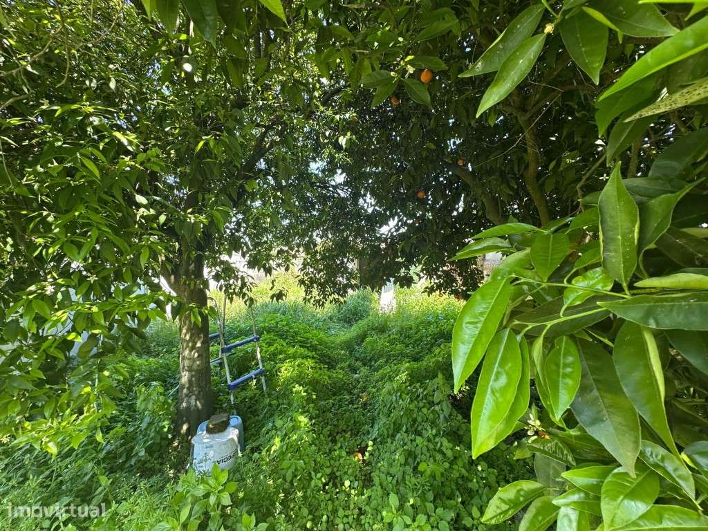 Moradia tipologia T2-16