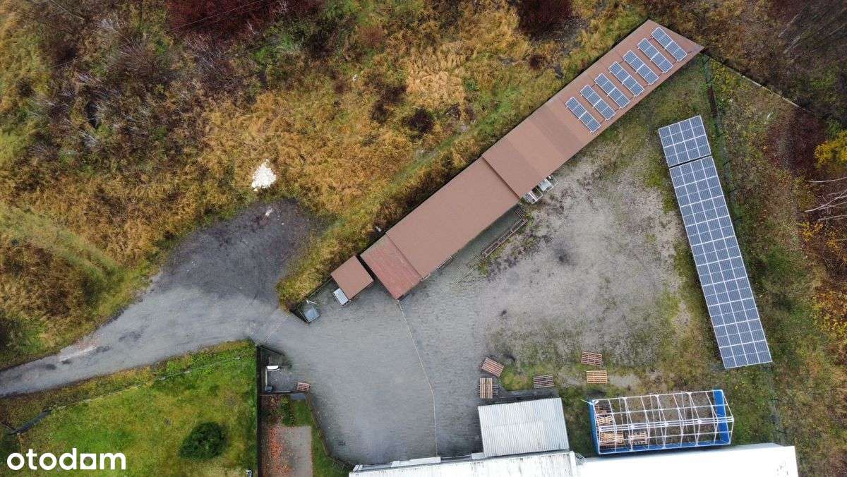 797764 - Pełny obrazek: 4/17