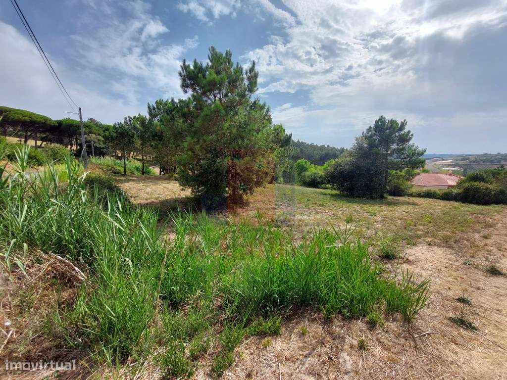Terreno rústico com 3.096 m² em Salir de Matos - Grande imagem: 5/18