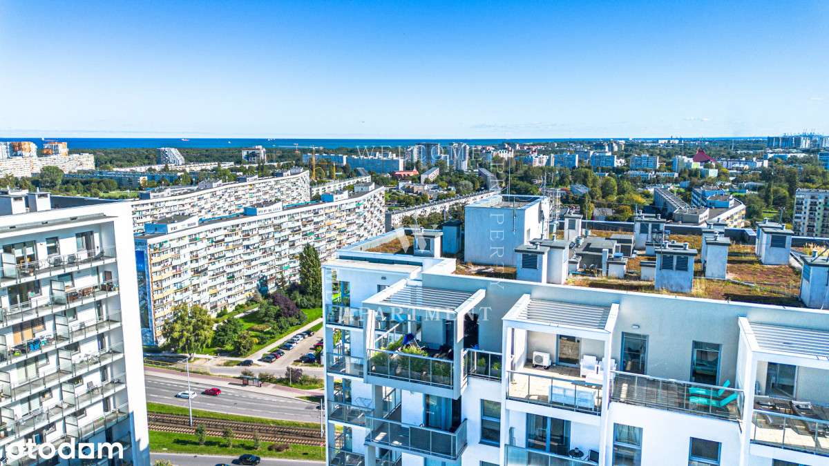 Albatross | Zysk i Ogród!-11