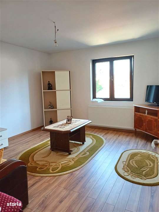 DOUA CASE DE VANZARE LA TALMACIU-16