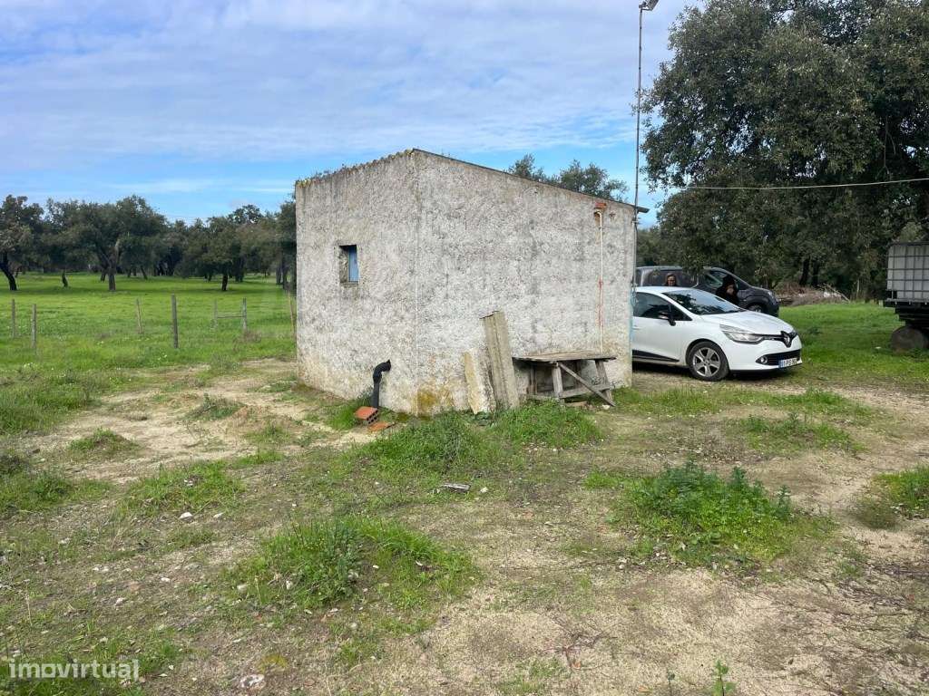 Propriedade Rústica com 11 Hectares junto a Canhestros-4