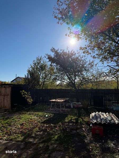 Ciolpani, langa padure - Imagine principală: 5/8