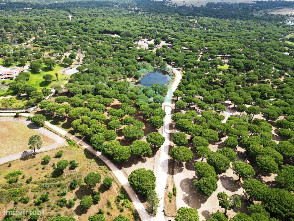 Lote de Terreno de 33.300m2, com lagoa, na Mata do Duque 1, Santo E...-27