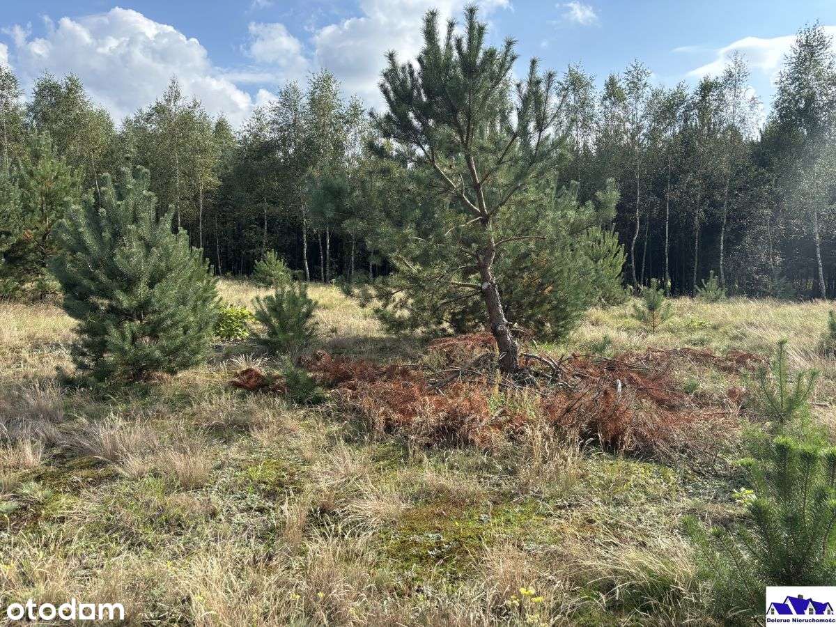 Działka budowlana w spokojnej okolicy-10