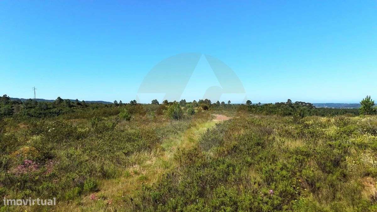 Terreno Serominheiro - Grande imagem: 4/6