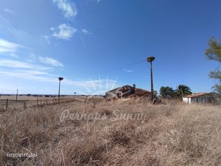Herdade a 10km de Alvalade do Sado - Grande imagem: 5/47