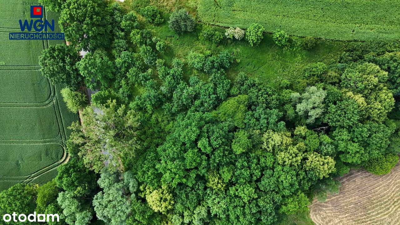 Polanica-Zdrój okolice, działka budowlana na sprzedaż.-12
