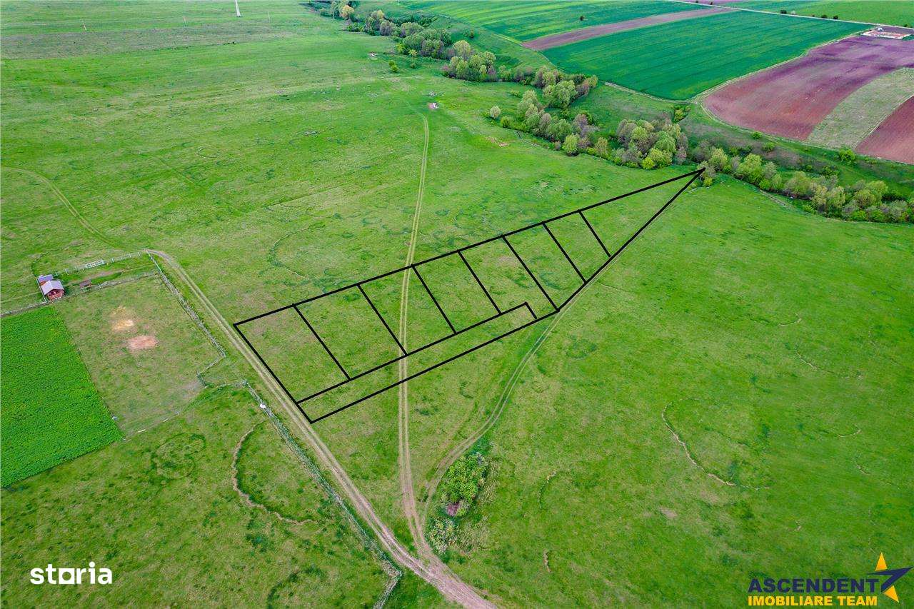 FILM! Loturi teren extravilan, recomandate case de vacantarecreere, Sf - Imagine principală: 4/5