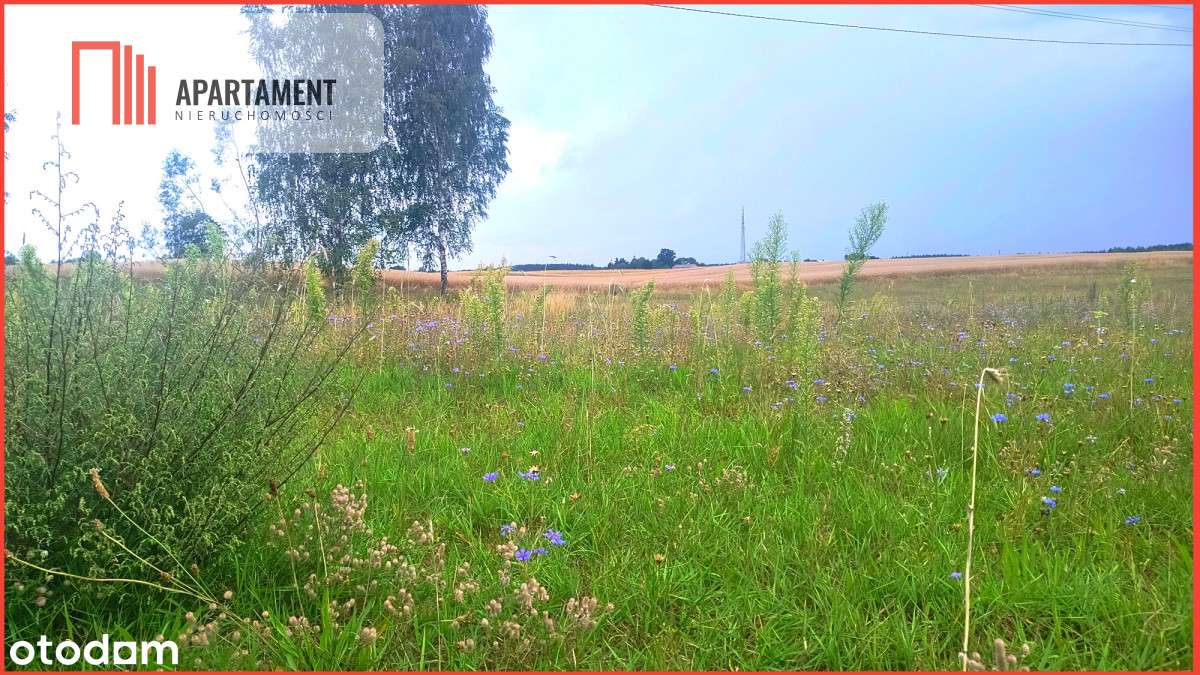 Tylko u nas ! Działka siedliskowa . - Pełny obrazek: 3/20