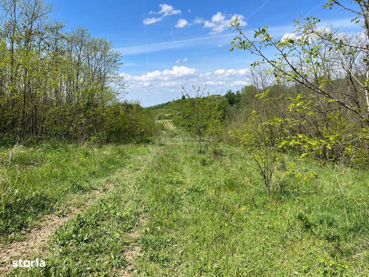 Lugoj Teren  5.300 Mp., Dealul Viilor,  Priveliste Impresionanta - Imagine principală: 5/13