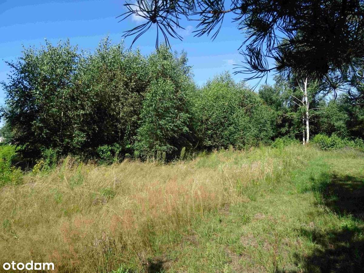 Działka w pobliżu lasu-6