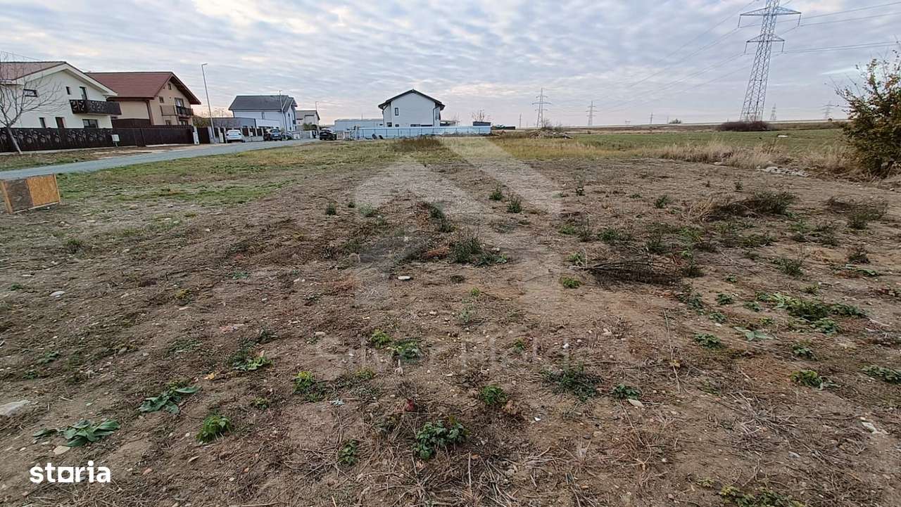 Teren Dumbrăvița cu front generos 24 ml-5