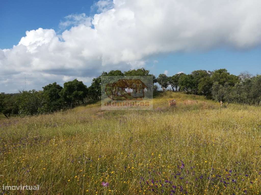 Terreno com ruína (43ha) em Melides - VISTA MAR - Grande imagem: 5/12