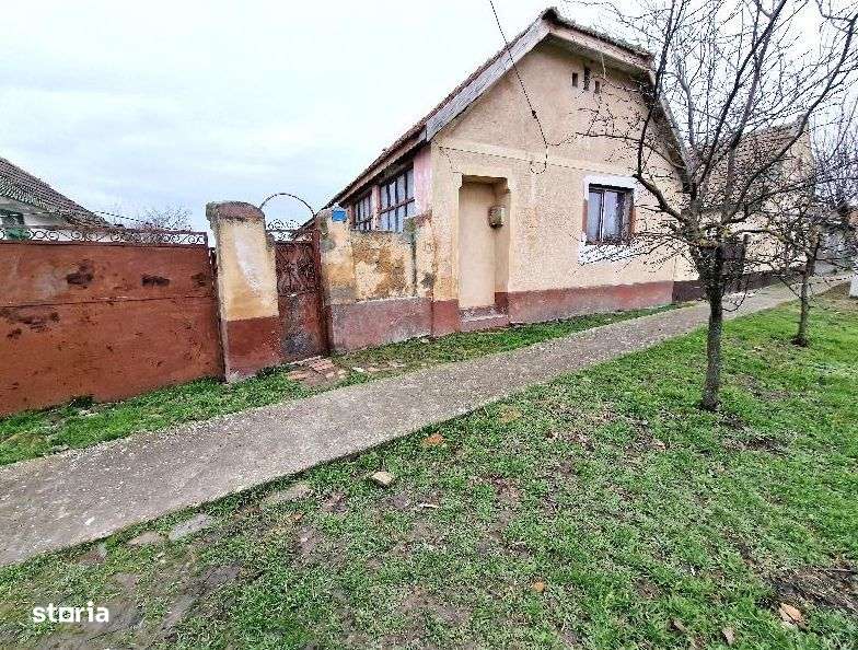 Cota 1/2 casa si teren Pustiniș, jud. Timiș-id R1992745 - Imagine principală: 5/6