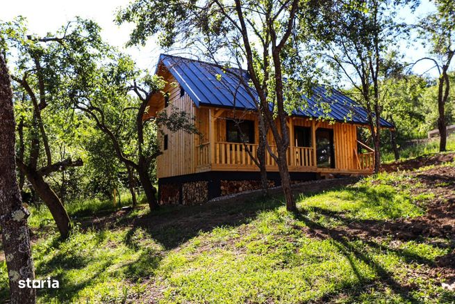 Cabane de vis în Nucșoara, Argeș-8