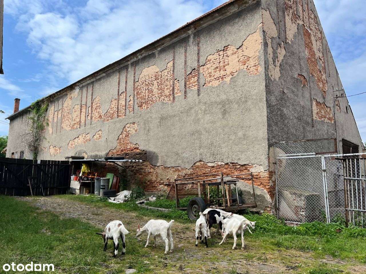 Dom w Brukalicach pod inwestycję - Pełny obrazek: 4/17