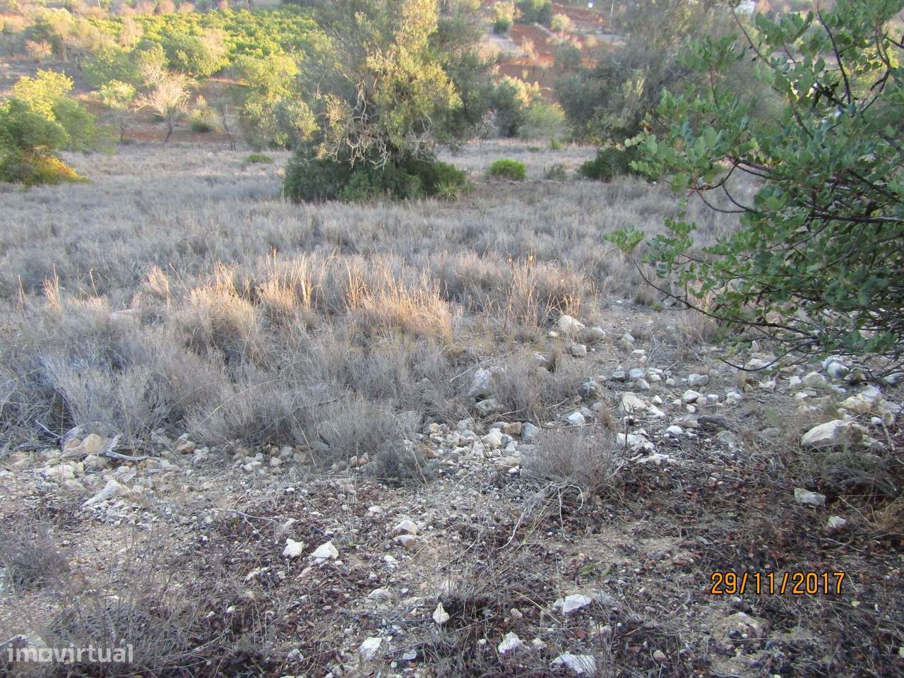 Terreno Rústico - Paderne - Grande imagem: 4/5