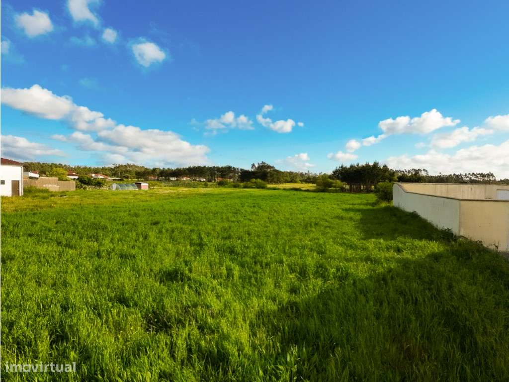 Terreno!! Sampaio!! Figueira da Foz - Grande imagem: 5/10