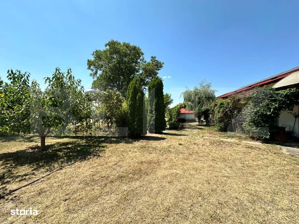 Domeniu de vanzare cu 17.000 mp teren, sat Oboga - Imagine principală: 5/19