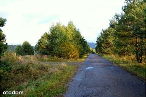 Krajobrazowa działka 3ha, WOŁOWIEC, Beskid Niski-6